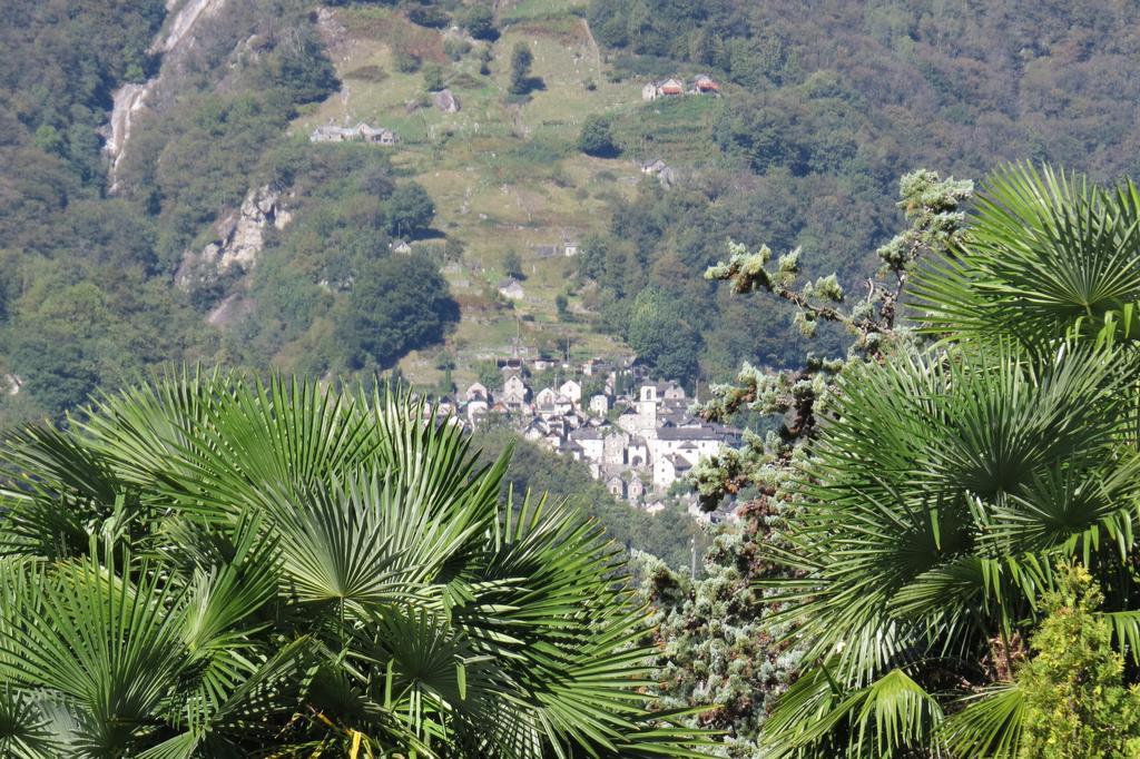 Hotel Pizzo Vogorno المظهر الخارجي الصورة